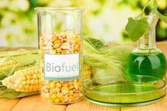 Rubha Ghaisinis biofuel availability